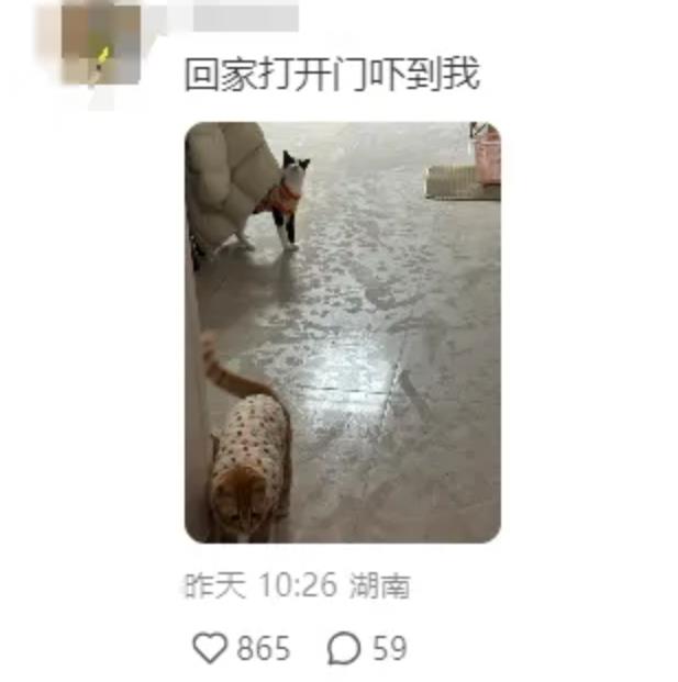 南方人最怕的回南天来了！广西网友：开电车5分钟，人已经全湿了